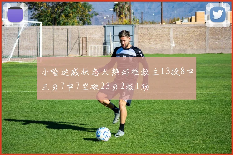 小哈达威状态火热却难救主13投8中三分7中7空砍23分2板1助