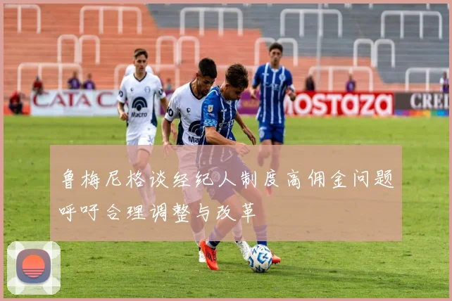 鲁梅尼格谈经纪人制度高佣金问题呼吁合理调整与改革