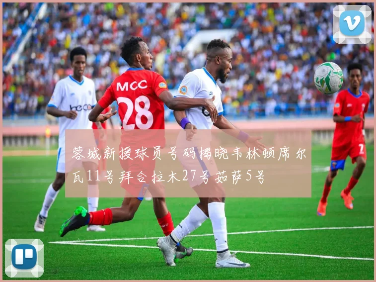 蓉城新援球员号码揭晓韦林顿席尔瓦11号拜合拉木27号茹萨5号