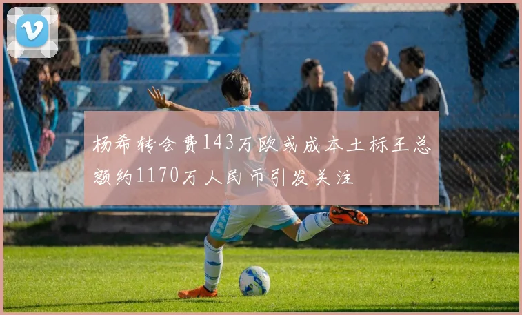 杨希转会费143万欧或成本土标王总额约1170万人民币引发关注
