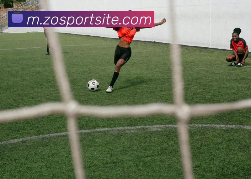 中欧体育平台生态图