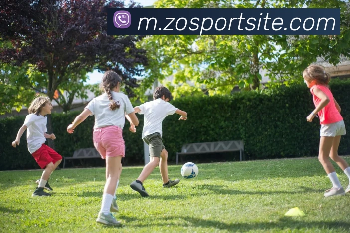 中欧体育全站App